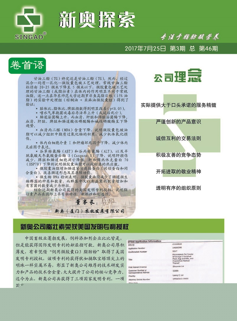 新澳门正版资料仔细释义、解释与落实、专家解答解释落实