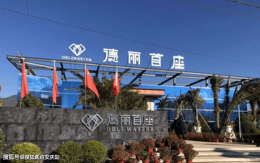 新澳2025今晚开奖资料四不像，详细解答、构建解答解释落实